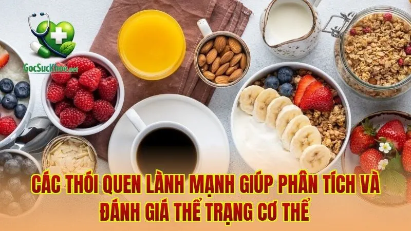 Các thói quen lành mạnh giúp phân tích và đánh giá thể trạng cơ thể