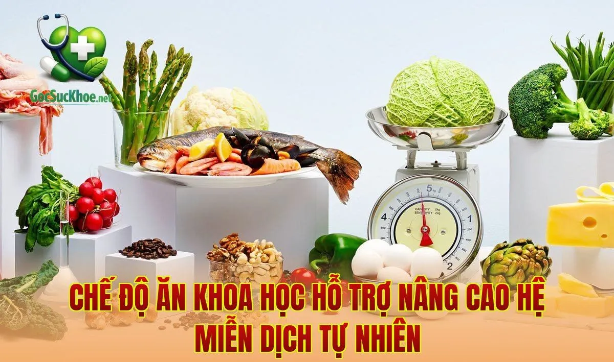 Chế độ ăn khoa học hỗ trợ nâng cao hệ miễn dịch tự nhiên