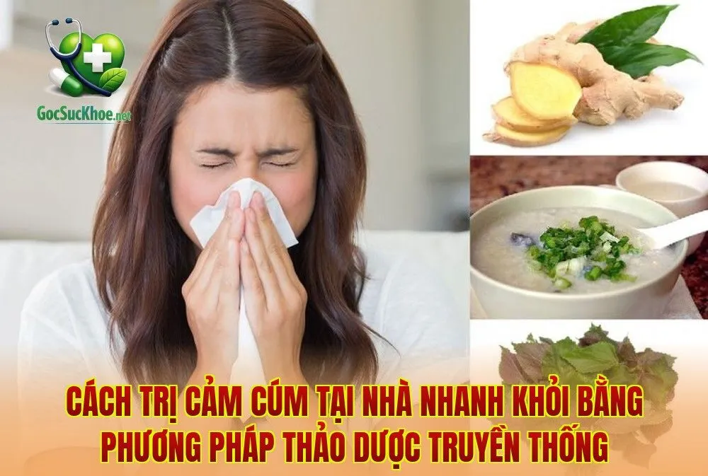 Cách trị cảm cúm tại nhà nhanh khỏi bằng phương pháp thảo dược truyền thống