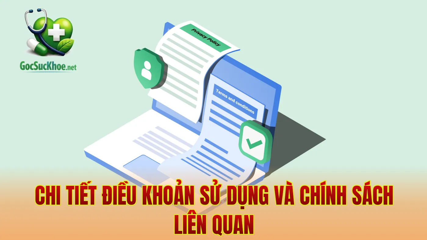Chi tiết điều khoản sử dụng và chính sách liên quan