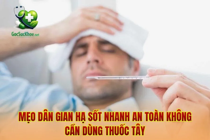 Mẹo Dân Gian Hạ Sốt Nhanh An Toàn Không Cần Dùng Thuốc Tây