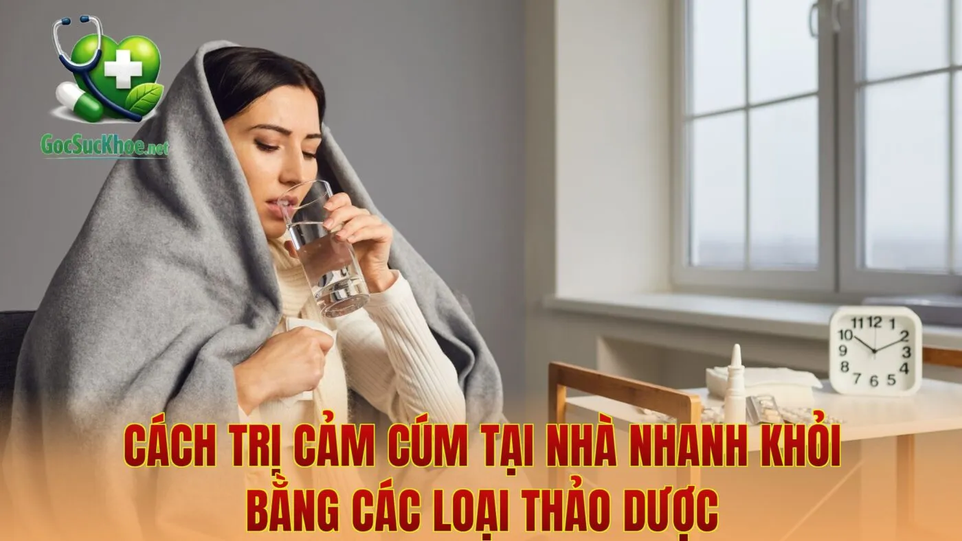 Cách Trị Cảm Cúm Tại Nhà Nhanh Khỏi Bằng Các Loại Thảo Dược
