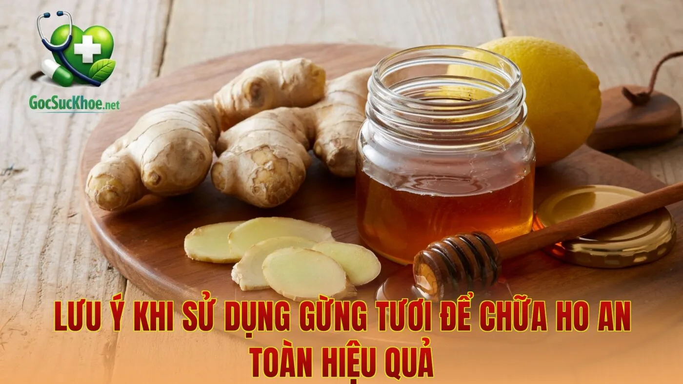 Lưu ý khi sử dụng gừng tươi để chữa ho an toàn hiệu quả