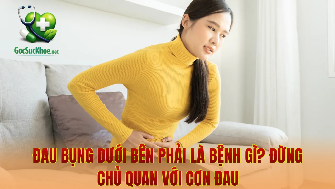 Đau Bụng Dưới Bên Phải Là Bệnh Gì? Đừng Chủ Quan Với Cơn Đau
