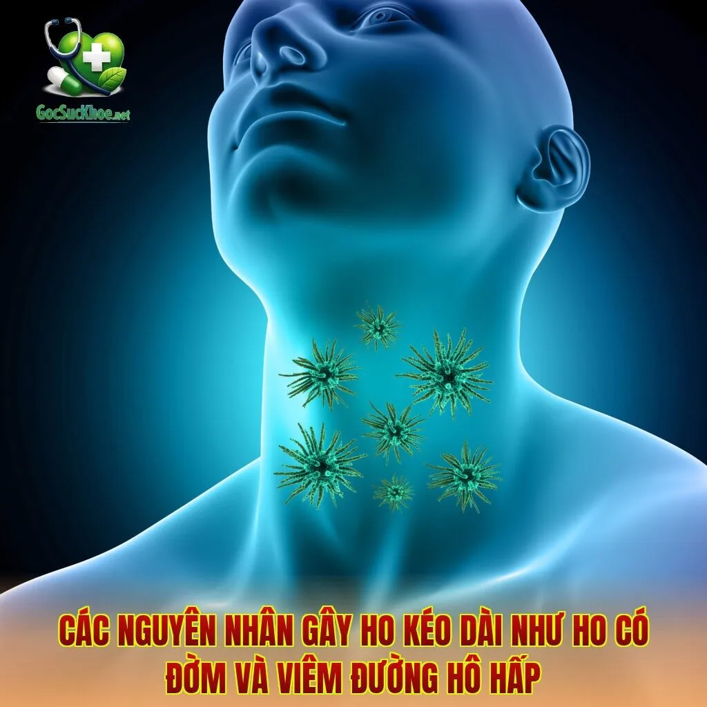 Các nguyên nhân gây ho kéo dài như ho có đờm và viêm đường hô hấp
