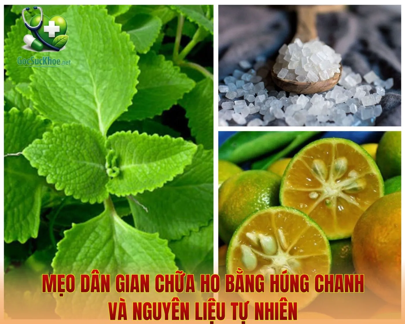 Mẹo dân gian chữa ho bằng húng chanh và nguyên liệu tự nhiên