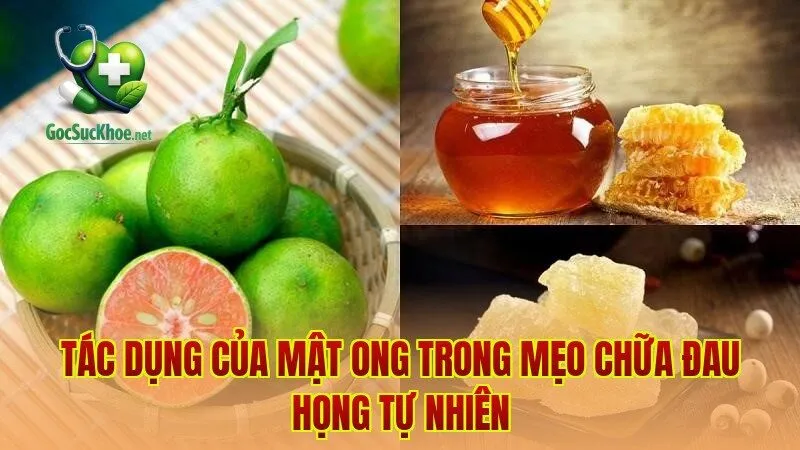 Tác dụng của mật ong trong mẹo chữa đau họng tự nhiên