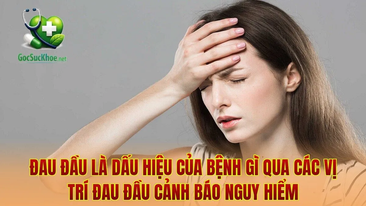 Đau đầu là dấu hiệu của bệnh gì qua các vị trí đau đầu cảnh báo nguy hiểm