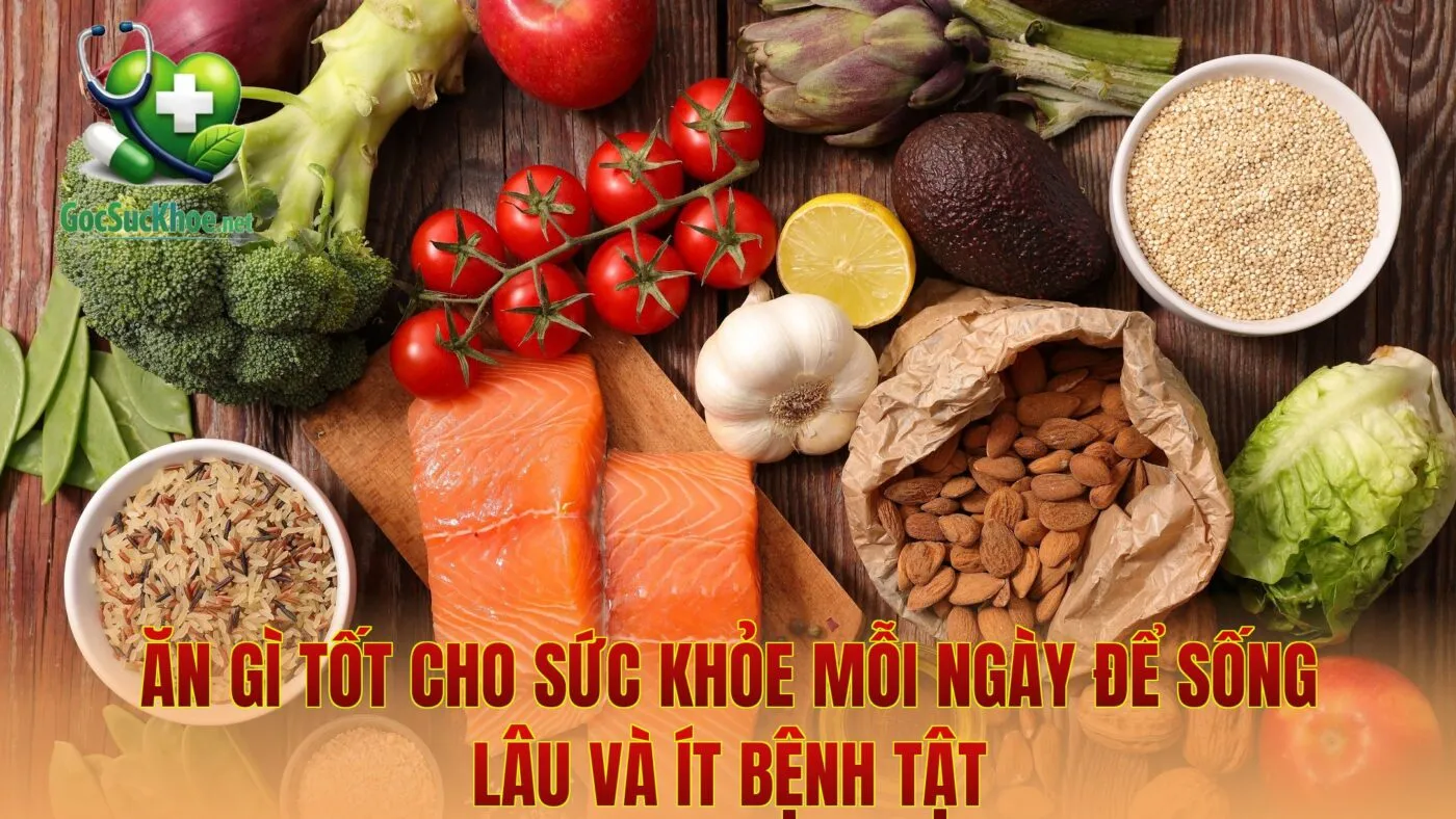 Ăn Gì Tốt Cho Sức Khỏe Mỗi Ngày Để Sống Lâu Và Ít Bệnh Tật