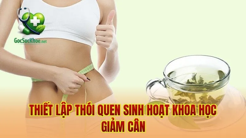 Thiết lập thói quen sinh hoạt khoa học giảm cân