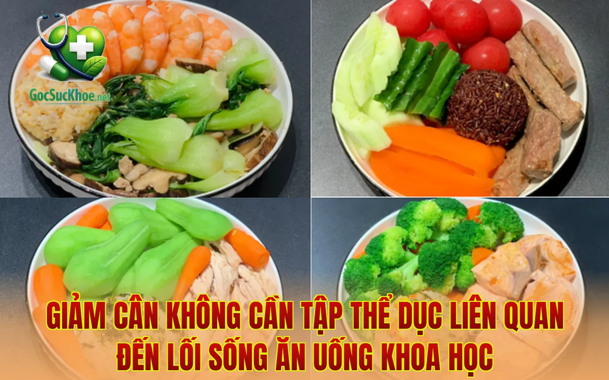 Giảm cân không cần tập thể dục liên quan đến lối sống ăn uống khoa học