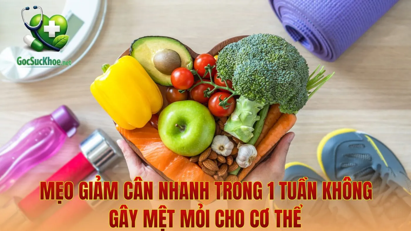 Mẹo Giảm Cân Nhanh Trong 1 Tuần Không Gây Mệt Mỏi Cho Cơ Thể