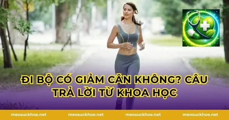 Đi Bộ Có Giảm Cân Không? Câu Trả Lời Từ Khoa Học