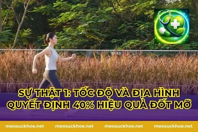 Sự Thật 1: Tốc Độ và Địa Hình Quyết Định 40% Hiệu Quả Đốt Mỡ